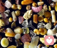 海沙放大千倍的樣子會發現每一粒沙都不同
世界上每一片海灘的沙礫都不一樣，它們都是不同的海洋生物歷經多年的殘骸。海沙濃縮了這片海洋生物和環境的變遷。

所以我們說一沙一世界一葉一菩提一花一世界配圖