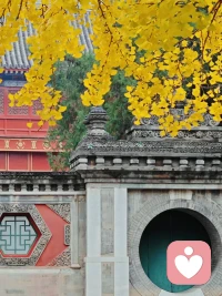 心情愉悅是大補情緒低落是大傷配圖