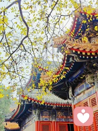 就算你覺(jué)得自己是一坨臭狗屎，也會(huì)遇到一個(gè)心地善良的屎殼郎，不遠(yuǎn)萬(wàn)里找到你，然后當(dāng)成寶貝，再不遠(yuǎn)萬(wàn)里的把你滾回家，
一路上悉心呵護(hù)著你，一心想著把你變成家里的鎮(zhèn)宅之寶。一物降一物，總會(huì)找到適合你的那個(gè)人配圖