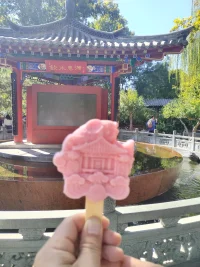 本是青燈不歸客，卻因濁酒戀紅塵！配圖