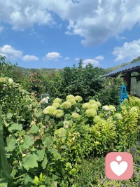 心若晴朗，人生便沒有雨天！配圖