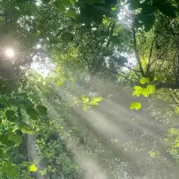 童年是人生中最需要温暖与关怀的阶段，但有些孩子从小就得不到足够的
爱和理解。
他们可能面对的是父母的忽视、责备，或者是情感上的冷漠。
这样的孩子，长大后往往容易沉迷于幻想世界。
那是因为在现实生活中,
他们找不到情感上的慰藉，幻想成了他们唯一的避风港。