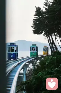 我道春風逐如意，
風燭半生殘江影。配圖