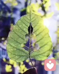 [愛心] 生活短暫而美好，沒時間糾結，沒時間計較，停止無意義的焦虛和熬夜，留點空間做自已喜歡的事情。配圖