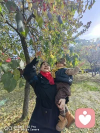 人到中年，人生過半，已經沒有了單純，但是不缺少美好，年輕的時候因為一點小事自己就會生氣，現如今，內心再痛苦，也不會再被人看出來，臉上永遠云淡風輕，人到中年，也算是經歷過大風大浪的人了，知道自己的余生應該怎么活著了。
人到中年，無需奢華，樸樸素素就可以，布衣素食，安心就好，自己的故事自己演繹，自己的人生自已經歷。
人到中年，依舊有自己的清又不和憂愁，只追求一種讓人覺得舒服的關系，彼此有些距離，不彼此捆綁，喜歡就多說兩句，生活多了幾分禪意隨遇而安。
人到中年，更懂得了人生的意義，用安靜打發時間，少了攀談，多了沉潛，過日子清醒而獨立，人生很短，余生很貴，生命不在討好誰愛自己，做自己的主人，把自己活好才是生命的意義。配圖