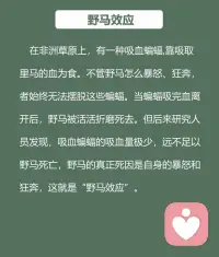 每天學一個知識—“野馬效應”配圖