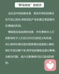 每天學一個知識—“野馬效應”配圖