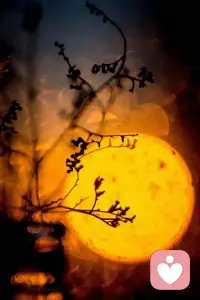 許多話說的人早忘了，聽的人卻一直記著，一遍一遍用這些話來傷害自己。配圖