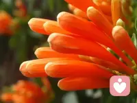 人要能愛自己，才能愛別人。如果你知道怎樣讓自己快樂，你才會知道怎樣讓別人快樂啊！配圖