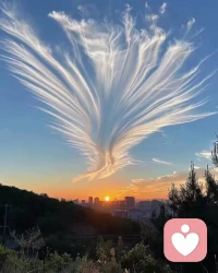 想干什么就趕快去干，不要浪費了這個美好的周末哦??配圖