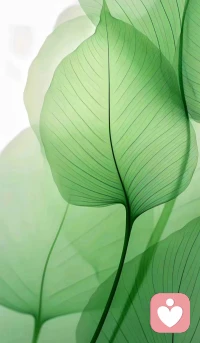 我們戴著面具生活，從心底里不接納自己的陰暗面。但我們卻忘記了，作為一個生活在三維世界的人，光明與黑暗、善與惡，本就是相依存而成立的。我們有善良的一面，也有不那么完美的一面，這才構成了一個完整的人。
接納自己的一切光明面和陰暗面，是人生的重要功課~配圖