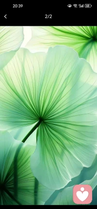 性，不是愛的升級，也不是終極。
性，更不是愛的極簡形式。
它是解渴的泉，暖胃的火，是空虛的緩兵之計。
有時它是愛的周邊產品，有時它是出乎意料的番外劇集。
那終極是什么？終極是倦了，或者不貪。配圖