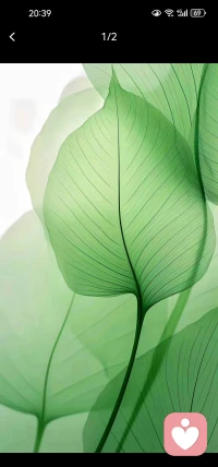 性，不是愛的升級，也不是終極。
性，更不是愛的極簡形式。
它是解渴的泉，暖胃的火，是空虛的緩兵之計。
有時它是愛的周邊產品，有時它是出乎意料的番外劇集。
那終極是什么？終極是倦了，或者不貪。配圖