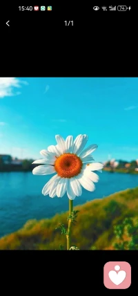 當你試圖宣講真理，同化大眾，讓一切成為同一個樣子，那你就要掉出生命的狀態了。
保持生命多樣態，保持相的多樣性是唯一的真理，當你這樣去做，你就會收獲身心輕松，收獲廣闊的生命狀態。配圖