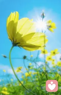 日子悄然流过。无论身在何处，只是发呆凝视。凝视周围的一切，不进入思想，便无事。配图