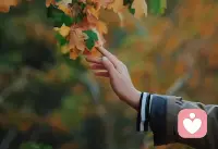 那么讓別人愛上你，最重要的是六大要素，提綱挈領(lǐng)的六大要素。第一個(gè)要素是第一印象，第一印象很重要。第二個(gè)是相似的個(gè)性和互補(bǔ)的需求。就是我們到底是要找一個(gè)跟我們很像的人呢，還是找一個(gè)跟我們互補(bǔ)的人？其實(shí)不矛盾，在個(gè)性上要相似，在能力上要互補(bǔ)，這就是第二個(gè)。第三個(gè)是等價(jià)原則，也就是我們中國(guó)人講的門當(dāng)戶對(duì)其實(shí)是非常重要的。但是你如果真的愛上了一個(gè)并不門當(dāng)戶對(duì)的人，我們也有辦法讓你盡量去滿足等價(jià)原則。配圖