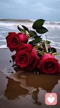 戀愛的升華是來自于自尊的按摩。自尊的按摩是什么意思？就是你要讓對方覺得，他跟你在一起以后自己怎么變得這么好，哇，我真的遇到了你才算遇到對的人了，我覺得我越來越棒。配圖