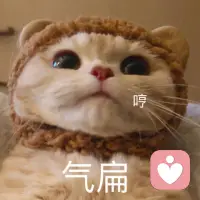 憤怒的起因看起來非常復雜，我們會因為各種各樣的事發脾氣，但是總結起來無外乎這樣幾個原因：第一個，它的發生是我們不希望看到的，比如我不希望看到我的魚被踢翻了。第二個，是被故意制造的。大家有沒有看過網上的一篇小文章，說有一天你劃著船，這時候突然有人撞了一下你的船，你非常生氣，準備發作時，扭頭一看卻發現那船上沒人，只是一個無人駕駛的船漂過來撞了你一下，這時候我們一般的反應是笑。第三個，與我們的價值觀相悖。第四個，可以被我們憤怒的回應控制住。這一條非常重要。人其實是非常敏感而聰明的，你如果真的遇到一件你根本控制不了的事情，那就會變成恐懼， 你就不會有憤怒。配圖