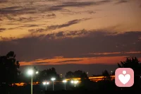 很喜欢林微因的一段话，她说、 思而不语 ，念而不忘
想而不见，爱而不得
情若能自控，要心有何用
心若能自控，何苦会心动
情到深处伤最深，爱到深处心最痛…配图