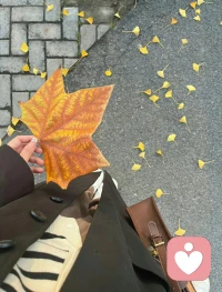 你已經做的很好了，
我把這句話存在這里，
在需要勇氣的時候，
請替我說給你自己聽。配圖