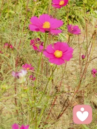 我們不缺快的能力，可能會缺慢的能力。
“快”在意的是結果，內在是焦慮和恐懼。
“慢”在意的是過程，背后是信心和可能性。

放下才能看到真相
放下才能做到接納
幸福從接納開始！配圖