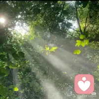 希望有一天 希望似陽光 打在你的人生舞臺 那一天 你就光芒萬丈配圖