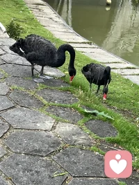 用你喜歡的方式，過好每個日出和日落！配圖