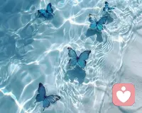 你若盛開，清風(fēng)自來？配圖