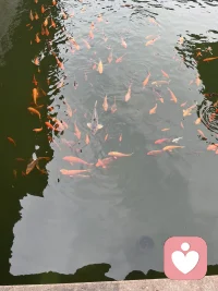 生命是自由的，讓自己活成自己，讓風成風，讓雨成雨！配圖