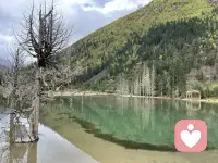 要學會課題分離，成長改變是自己的事，對錯與否是別人的事。配圖