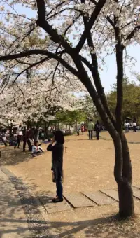 爱因斯坦说：“我们说话，只是重复我们已经知道的；而倾听，我们可能学到新东西。”