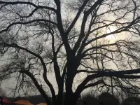 每个生命都是一棵参天大树，信任、尊重他就好了。
每个生命都有自己的节奏，给他空间，给他肥沃的土壤，给他爱，让他自由成长,他一定能长成一棵参天大树。