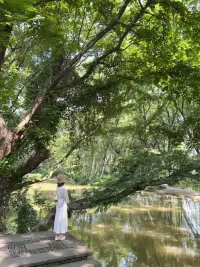 愿你：
看清世界的真相，依然熱愛生活。配圖