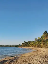 如果你沒(méi)有全身心參與當(dāng)下，那么不僅會(huì)錯(cuò)失生命中最寶貴的東西，而且會(huì)意識(shí)不到自身成長(zhǎng)和蛻變中的豐富性和深邃性。配圖