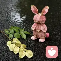 有趣的靈魂萬(wàn)里挑一。