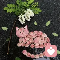 有趣的靈魂萬(wàn)里挑一。