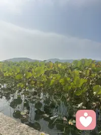 焦虑的反义词不是平静,而是具体。
当你具体化问题,焦虑就消失了。