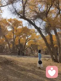 我們不能期待
別人隨時體察我們的情緒，
如果我們需要幫助，
就需要用語言表達出來。

             — 阿德勒