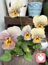 溫暖別人不需要燃燒自己，
溫暖別人只需要點亮自己。