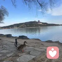 一个人的潜意识，
如果不能上升为意识，
就会在你不知不觉的
情况下引导你的一生，
成为你的命运。
             —— 荣格配图