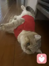 马上过年了，如果有不舒服的情绪能够及时倾诉、疏理，也是爱自己很好的方式。配图