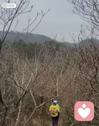 徒步苏州穹窿山爱心线，
在山野中画下一颗爱心。
刚回到家，上线接单~