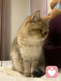 有人说，在家过个年，要半年才能恢复过来。
有人说，在家过个年，可以疗愈一年的伤痛。
你是属于哪一类呢？