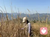 这个世界没有别人只有你自己，
投射是一种无意识的心理机制，
别人眼中的你不是你，
你眼中的别人才是你自己。

                    —— 荣格