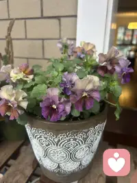 生活中总有很多美好，只要你有发现的眼睛和感受的能力。配图