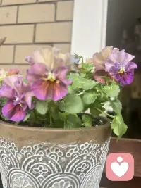 生以悦己，善待自己。配图