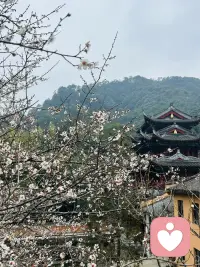 长程心理咨询的本质，就是场自我革命。
这条路坚持下来的人寥寥无几，
但凡熬出来的人，都是勇士，
都改写了家族系统的命运。配图