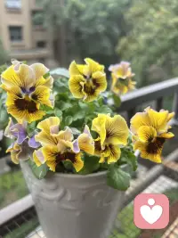 我们不是因为被爱才值得存在，
而是因为我们存在，就值得被爱。

                  ——卡尔、罗杰斯配图