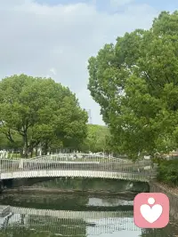 永远不要太操心你的孩子，
更不要做完美的父母。
当父母用“为你好”织成密不透见的网，
孩子学会的不是飞翔，
是如何在网中央乖巧地窒息。
过度操心的本质是，
对失控或失败的恐惧。
完美父母情节的本质是，
隐形的自恋或变相的控制。
孩子的生命力，
不会在你设计的轨道上成长，
只会在你留白的空间里绽放。