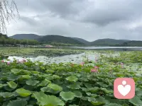当世界变大，我们的烦恼就变小了。配图